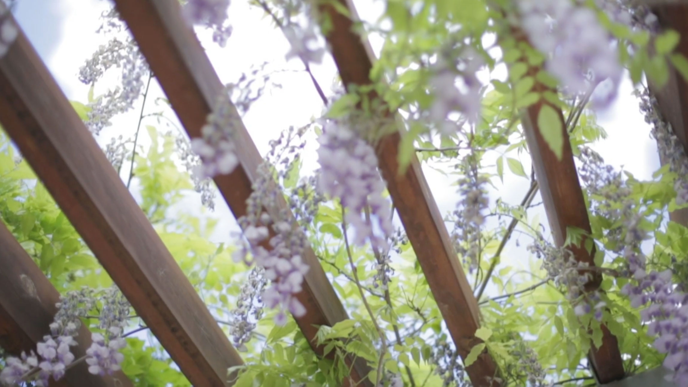 Rammos Floral Structures